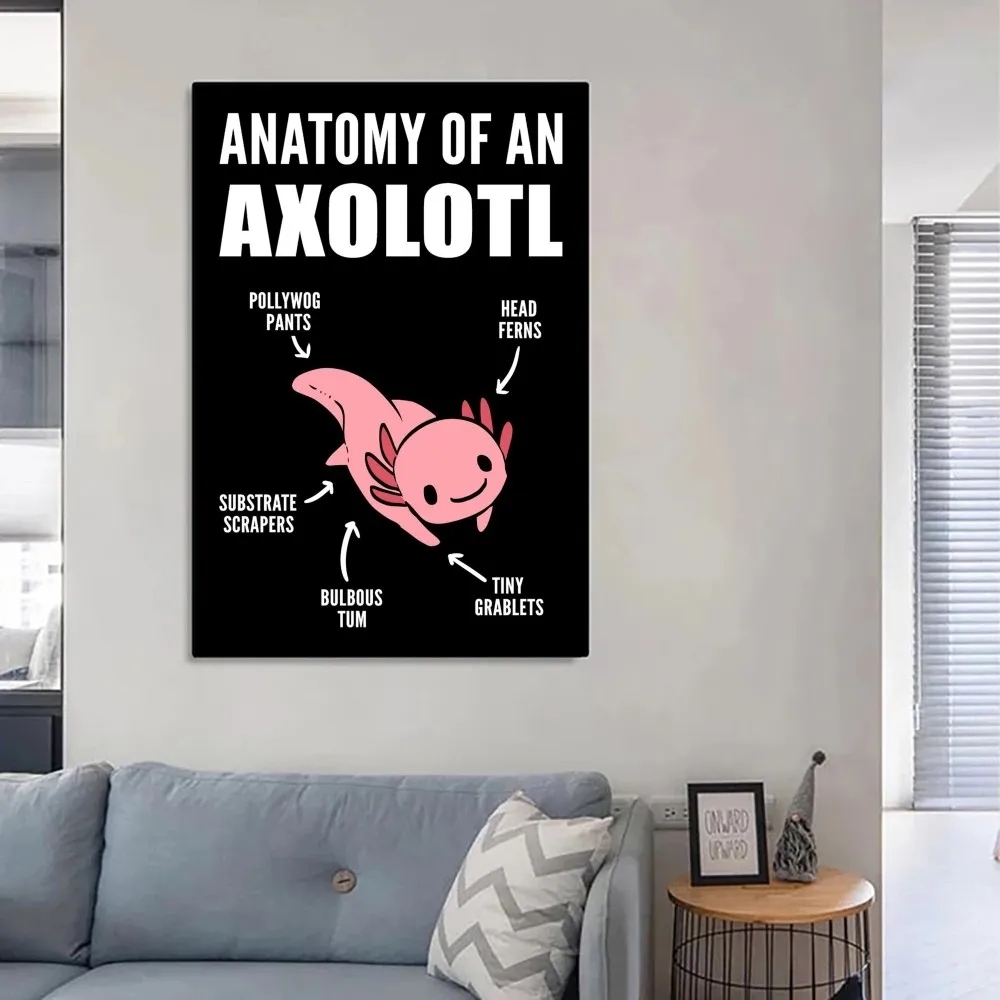 Shop Anatomy Posters